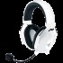RAZER RZ04-04960200-R3M1