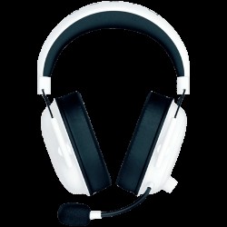 RAZER RZ04-04960200-R3M1